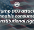 Trump DOJ attacks cannabis consumers’ constitutional rights
