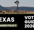 Texas elections are almost here!