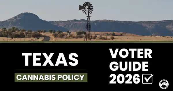 Texas elections are almost here!
