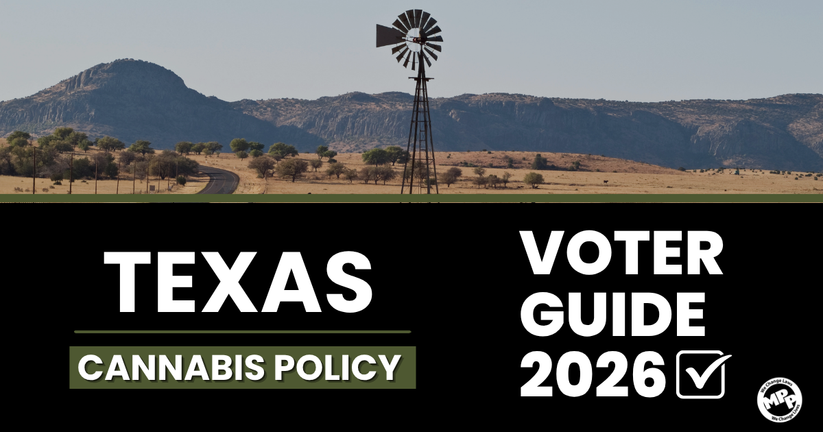 Texas elections are almost here!