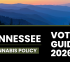 Tennessee state elections are almost here!
