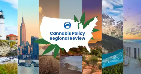 Cannabis Policy Across the Country: A Look at Regional Trends
