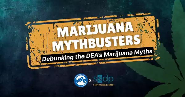 Marijuana Mythbusters: Debunking the DEA’s Claims