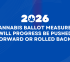 2026 Cannabis Ballot Measures: Will Progress Be Pushed Forward or Rolled Back?