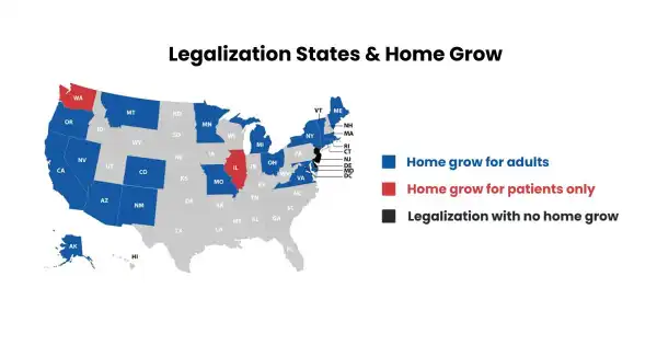 The fight for home grow rights has never mattered more