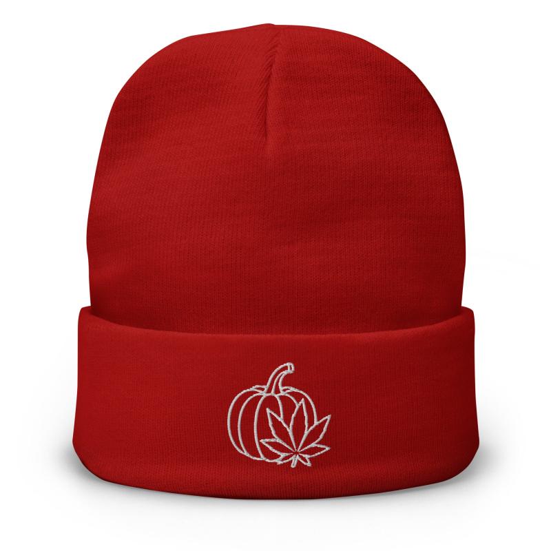 Autumn Embroidered Beanie