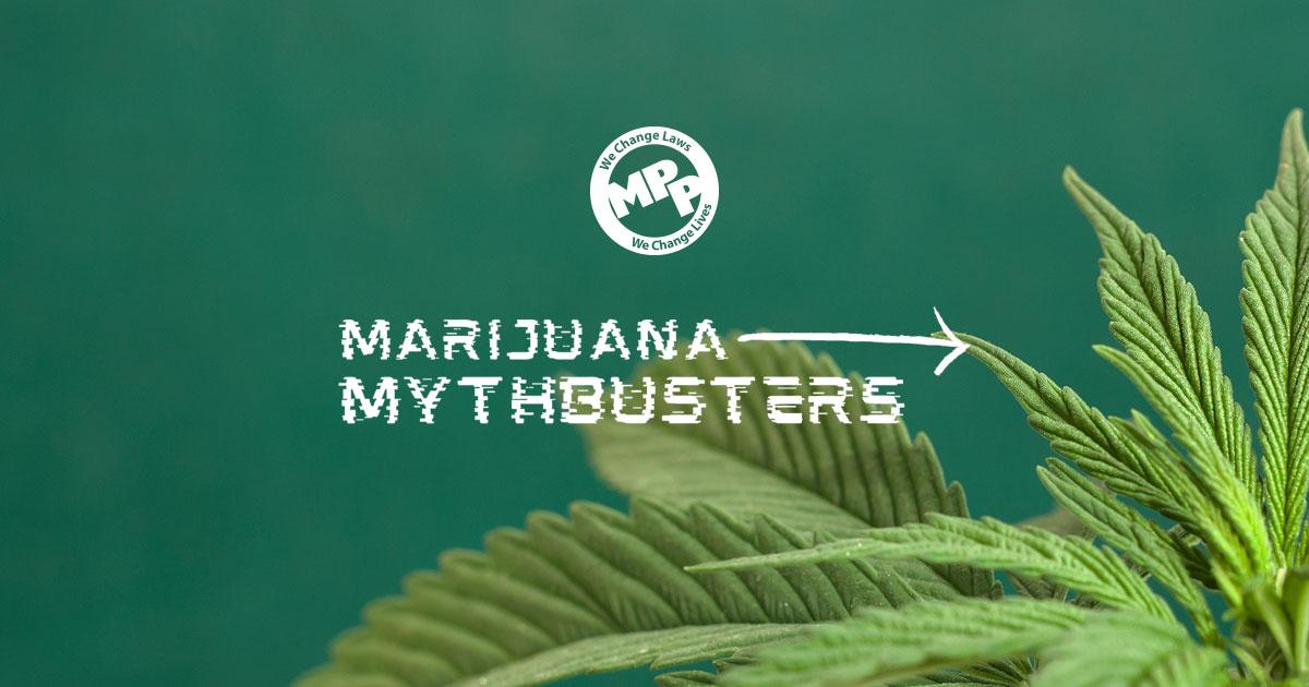 Marijuana Mythbusters