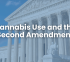 Cannabis Use and Gun Ownership