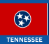 Tennessee: Medical cannabis could be on the ballot!